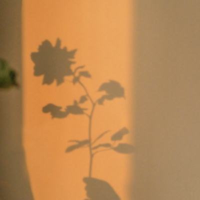 众派手游app下载